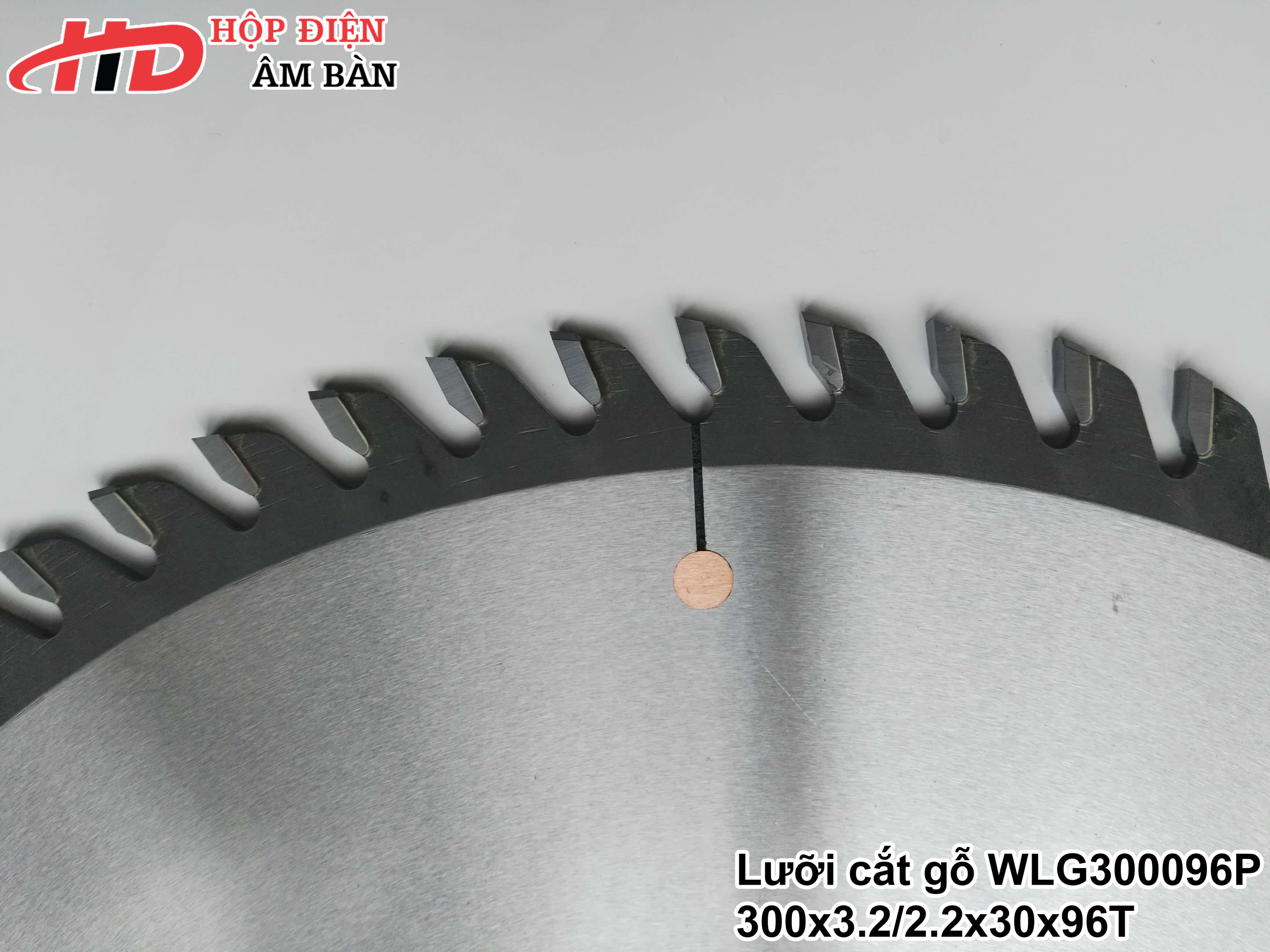 Lưỡi cắt gỗ WLG300096P