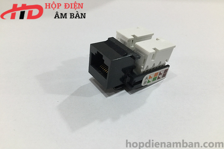 Ổ Cắm Hạt Mạng HD-MDRJ45